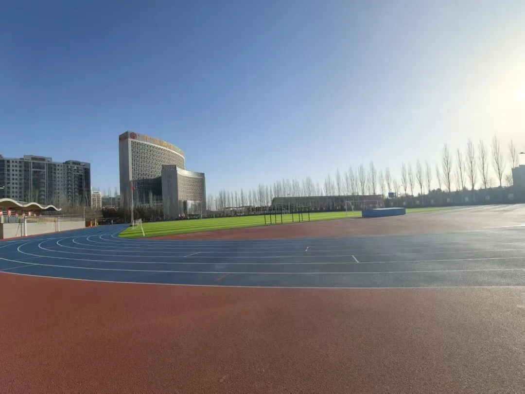 中考语文语言文字的积累与梳理任务群复习策略 第1张