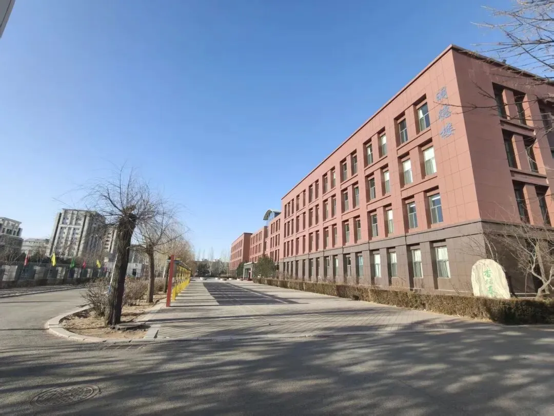 中考语文语言文字的积累与梳理任务群复习策略 第3张