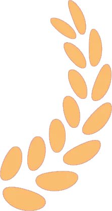 26届中考一轮复习(大单元+议题式)七下第三单元《在集体中成长》||2026文昌问天,集体闪耀太空! 第49张