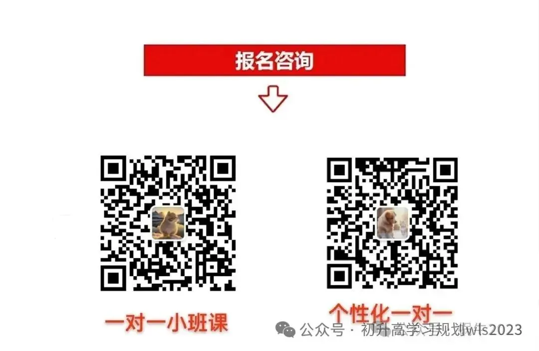 距离26中考还有118天!仅84天最短学期!一起来看见2026年春季学历吧! 第7张 距离26中考还有118天!仅84天最短学期!一起来看见2026年春季学历吧! 第7张