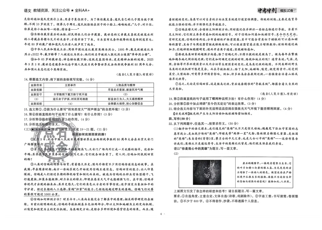 26春 语文中考冲刺模拟试卷,含答题卡 第6张