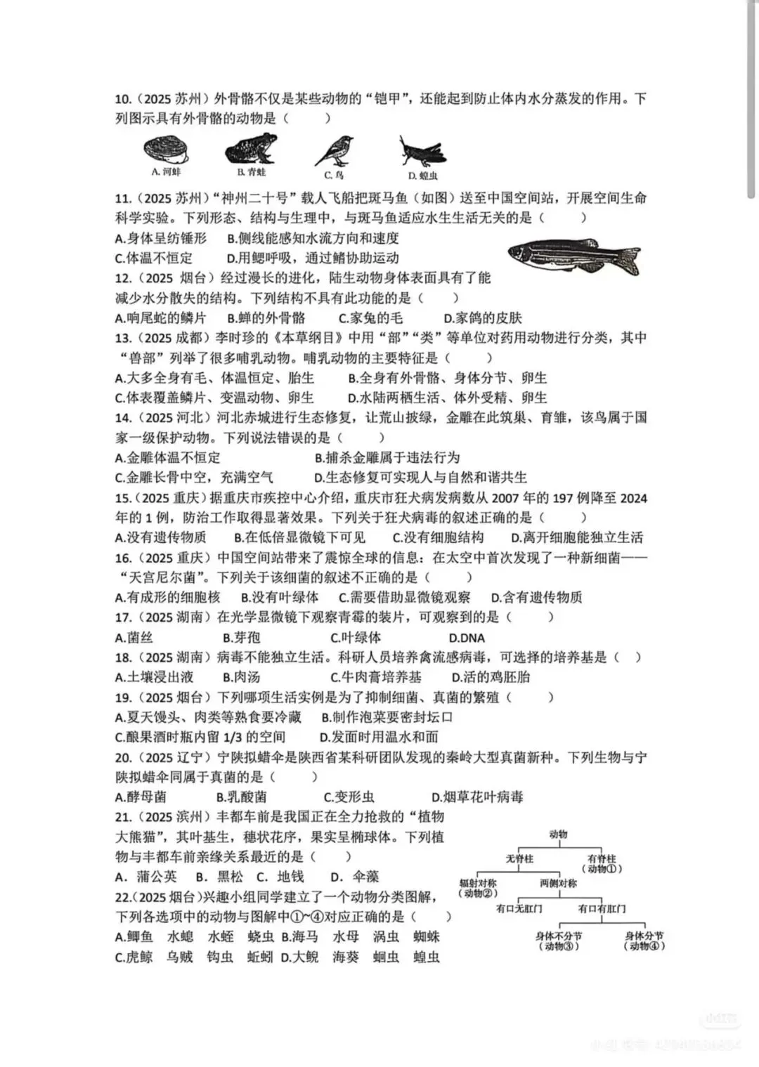 中考复习专题2-生物的多样性检测题附答案 第2张