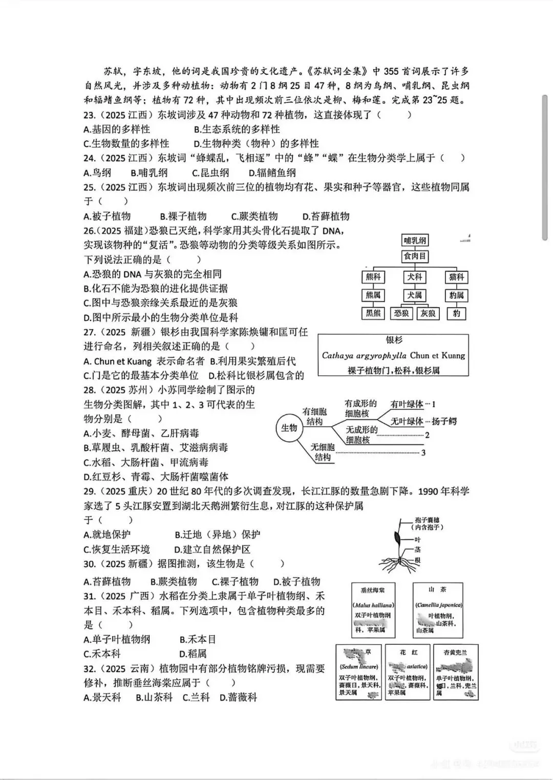 中考复习专题2-生物的多样性检测题附答案 第3张