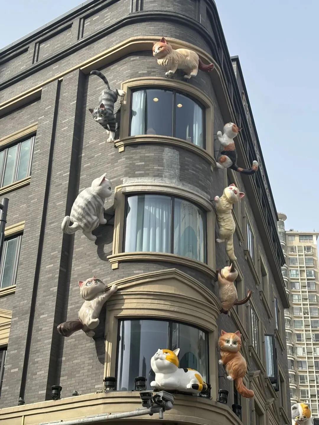 女儿中考倒计时116天—天宁寺祈福 第10张 女儿中考倒计时116天—天宁寺祈福 第10张