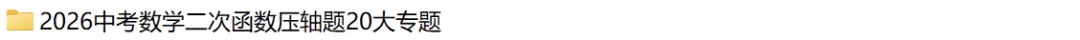 2026年中考数学二次函数压轴题|二次函数与角度问题 第41张
