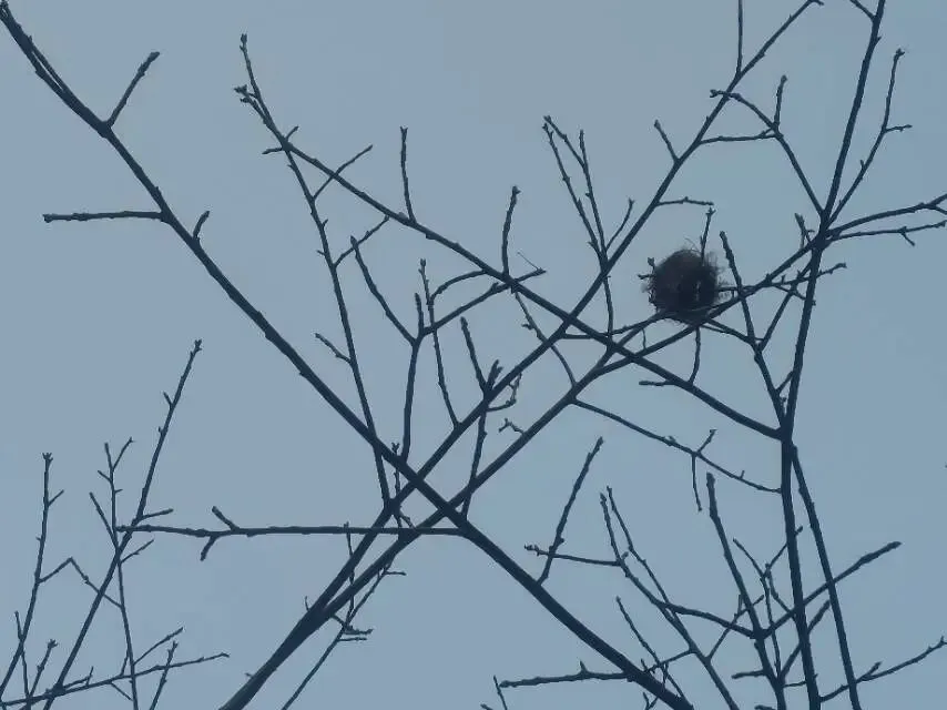 中考倒计时128天:重复的重要性 第1张