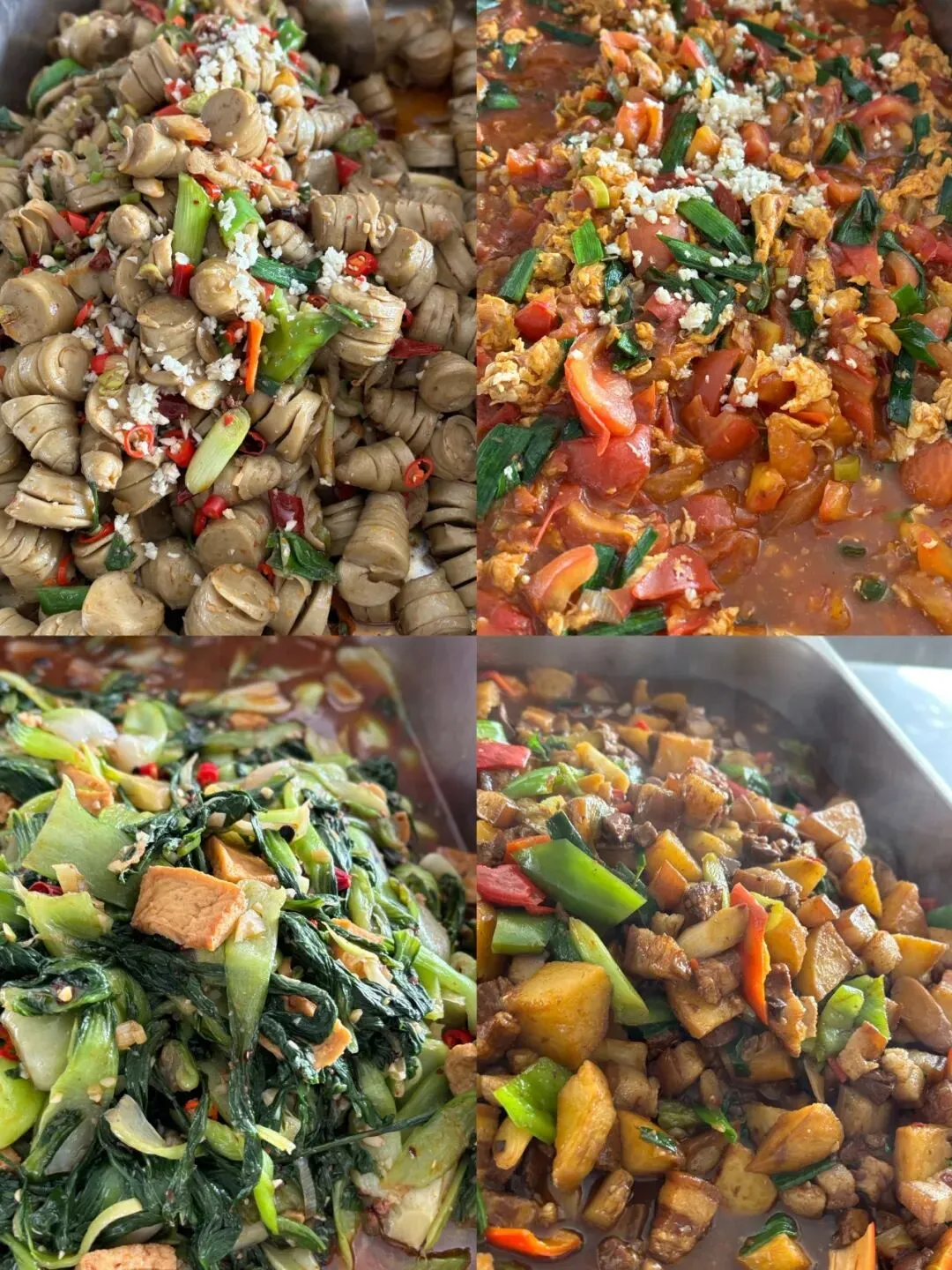 圆梦中考 成就未来 金榜培优2026届中考冲刺封闭班招生简章 第47张 圆梦中考 成就未来 金榜培优2026届中考冲刺封闭班招生简章 第47张