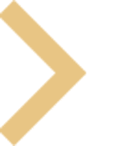 圆梦中考 成就未来 金榜培优2026届中考冲刺封闭班招生简章 第55张 圆梦中考 成就未来 金榜培优2026届中考冲刺封闭班招生简章 第55张