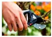 2026蓟州一中中考物理模拟试卷(二) 第4张