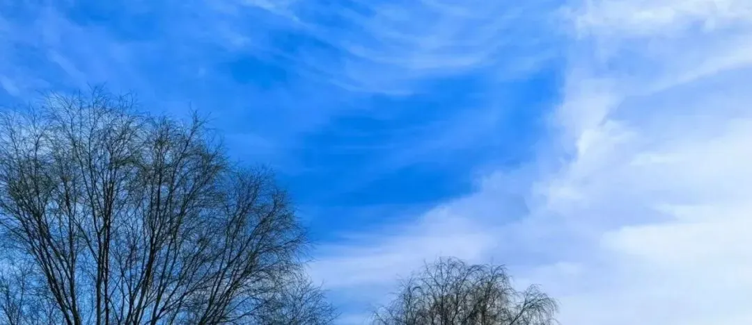 2026 中考英语 AI 作文万能模板 + 高频词,直接背 第2张 2026 中考英语 AI 作文万能模板 + 高频词,直接背 第2张