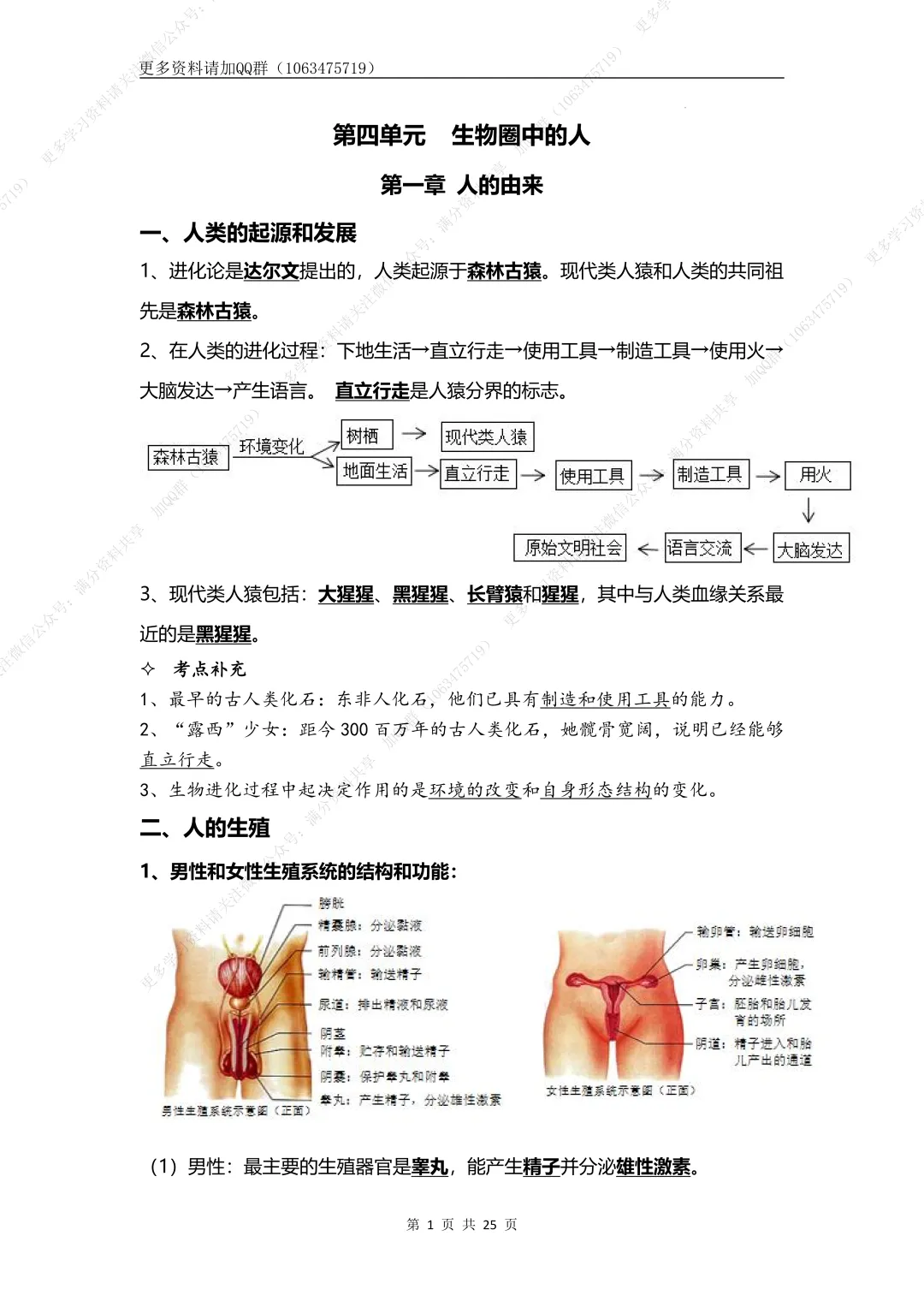 【初中生物】七下-备战2026年中考生物核心考点必背知识清单,电子版可打印 第2张