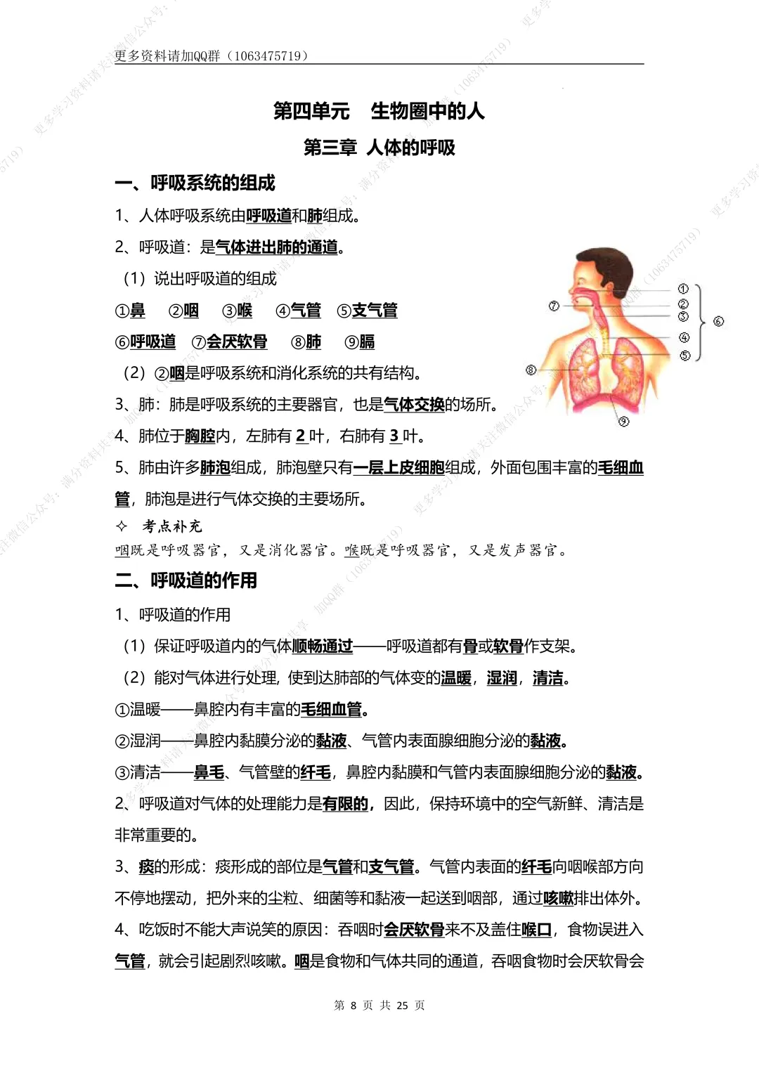 【初中生物】七下-备战2026年中考生物核心考点必背知识清单,电子版可打印 第9张