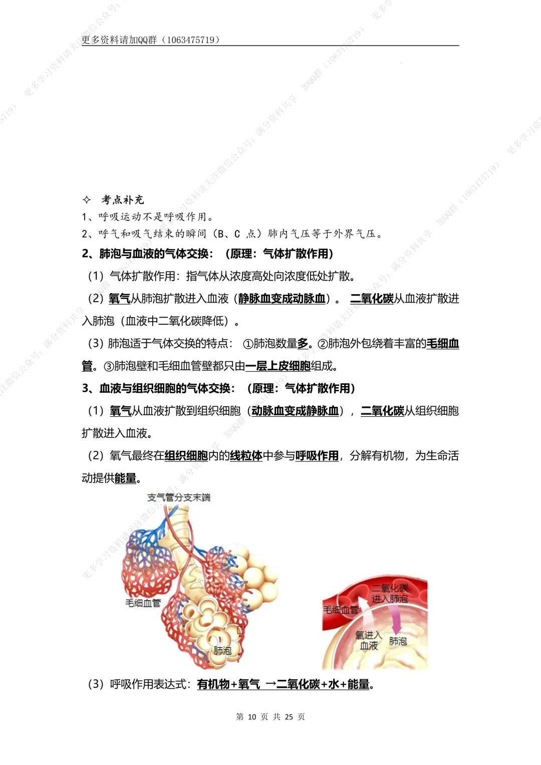 【初中生物】七下-备战2026年中考生物核心考点必背知识清单,电子版可打印 第11张