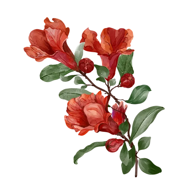 一眼惊艳,满屏考点——盘点《贺花神》中考高考涉及到的考点(上) 第47张 一眼惊艳,满屏考点——盘点《贺花神》中考高考涉及到的考点(上) 第47张