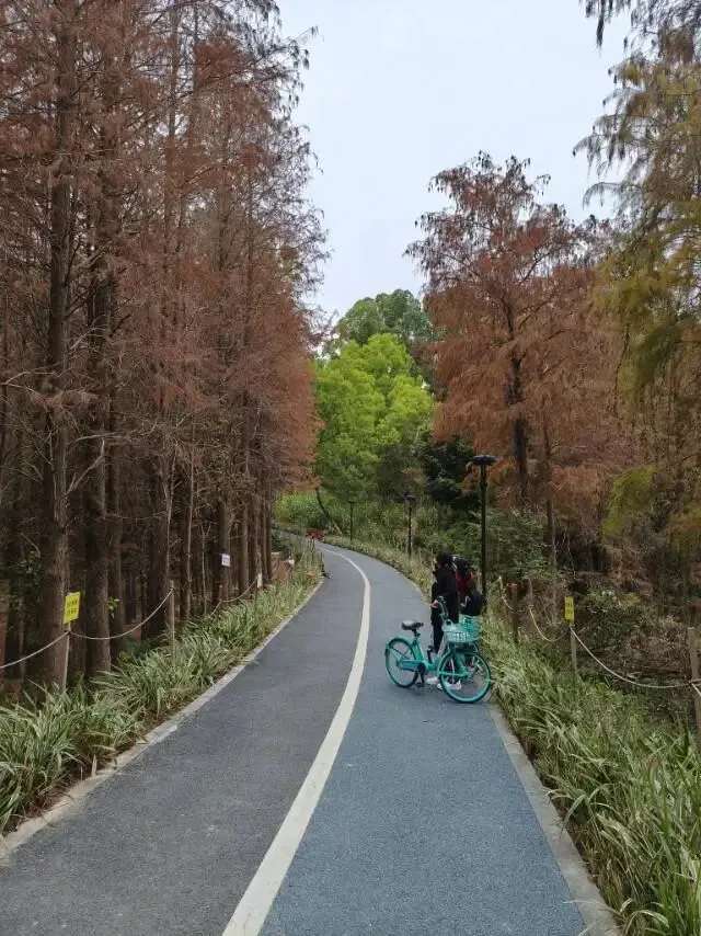 2026中考政策大变天 第2张