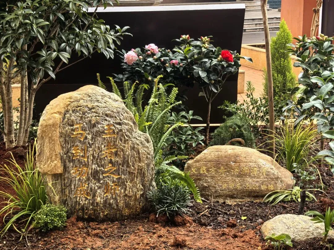 骐骥驰骋(一)||2026中考语文“积累与运用”考点解读与例析 第1张 骐骥驰骋(一)||2026中考语文“积累与运用”考点解读与例析 第1张