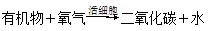 【中考复习】生物专题知识点④: 绿色植物的物质和能量转换 第7张