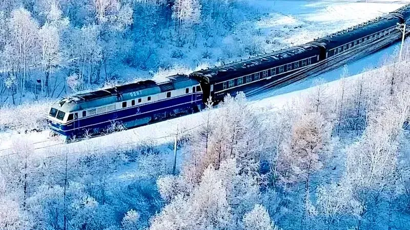 中考名著导读葵花宝典|《林海雪原》精彩章节故事情节 第8张