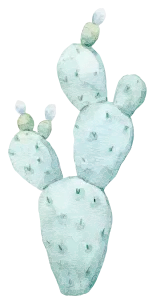 2026年聊城初中信息技术考试(中考) 第2张