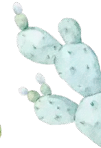 2026年聊城初中信息技术考试(中考) 第16张