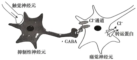 【中考真题】2025年江西省各科试卷考题含答案解析免费下载高清电子版 第5张