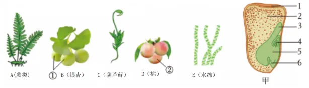 初中生物学中考复习练习 主题二 生物的多样性 第1张