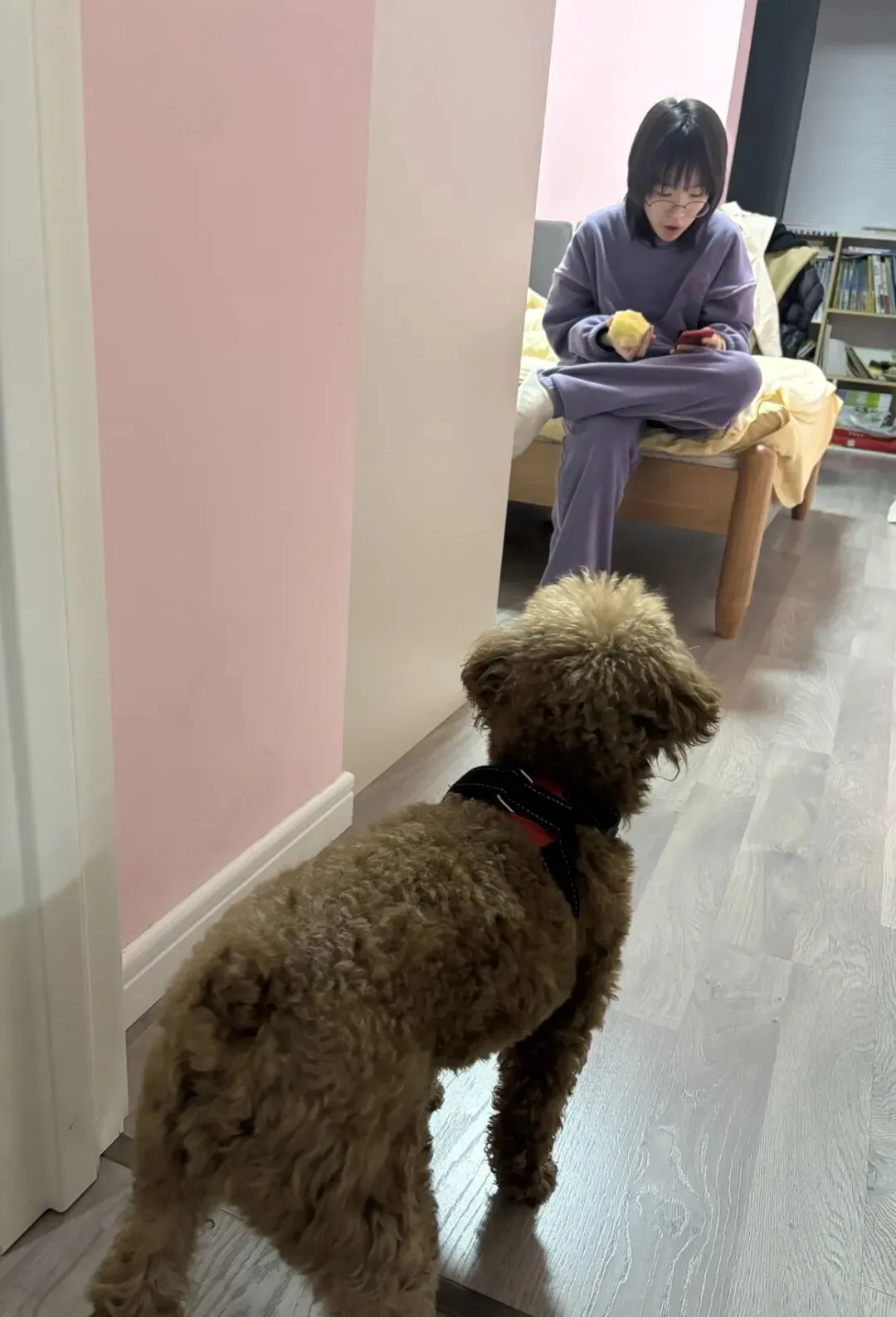 女儿中考倒计时115天—我的血脂复查结果依然不尽人意 第6张 女儿中考倒计时115天—我的血脂复查结果依然不尽人意 第6张