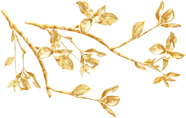 宿豫实验中学介绍分析/历届中考成绩/班级设定/拔尖创新班设置等等 第11张