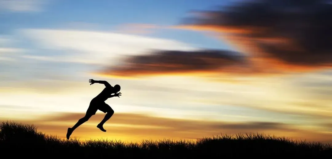 2026中考作文预测及范文:朝着阳光奔跑(范文3篇) 第2张