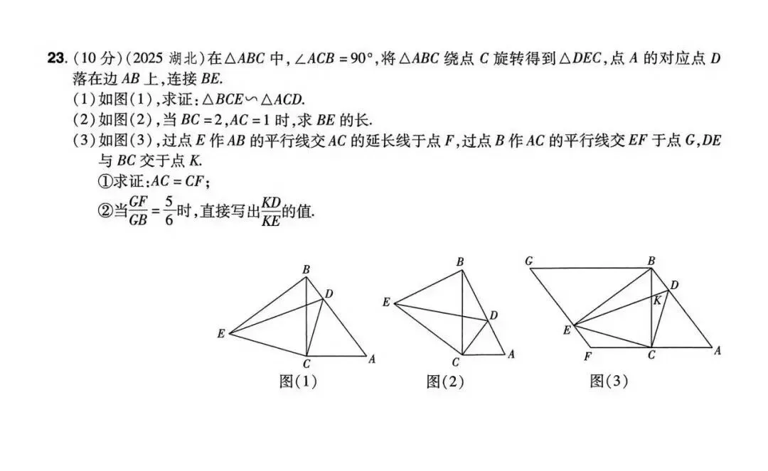 2026年全国中考数学组考模拟试卷D及答案 第6张