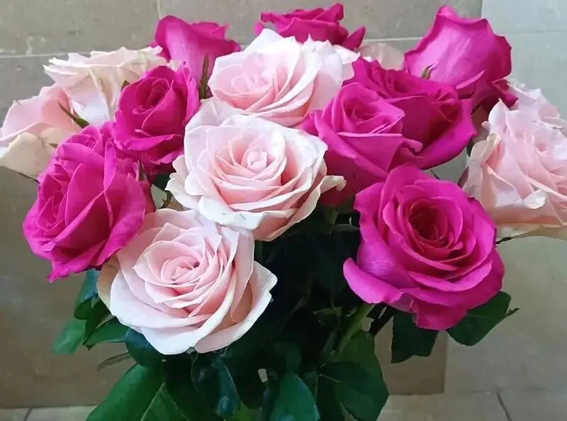 新人教九英语中考听力问答汇总--第五期 第1张