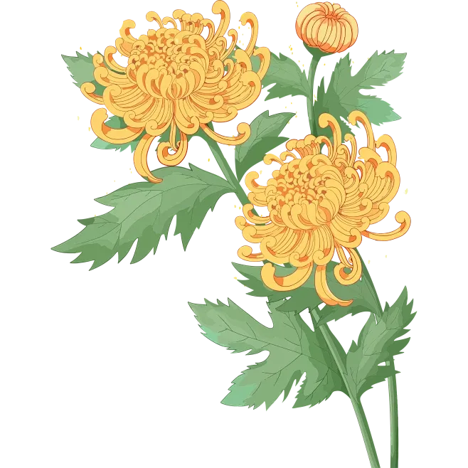 一眼惊艳,满屏考点——盘点《贺花神》中考高考涉及到的考点(下)(12月已全) 第16张 一眼惊艳,满屏考点——盘点《贺花神》中考高考涉及到的考点(下)(12月已全) 第16张