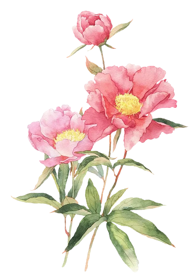 一眼惊艳,满屏考点——盘点《贺花神》中考高考涉及到的考点(下)(12月已全) 第22张 一眼惊艳,满屏考点——盘点《贺花神》中考高考涉及到的考点(下)(12月已全) 第22张