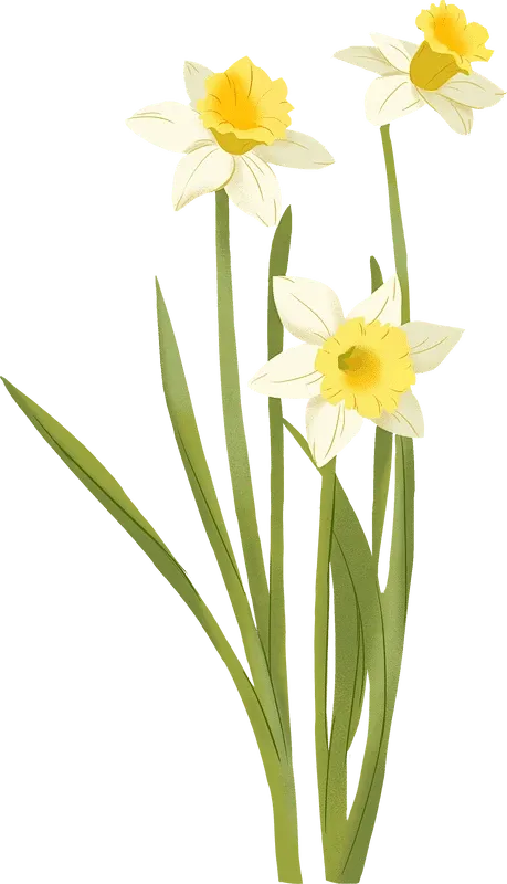 一眼惊艳,满屏考点——盘点《贺花神》中考高考涉及到的考点(下)(12月已全) 第34张 一眼惊艳,满屏考点——盘点《贺花神》中考高考涉及到的考点(下)(12月已全) 第34张