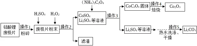 1706 【中考化学】二轮专项复习·核心考点讲解与必刷题型(Word版) 第12张 1706 【中考化学】二轮专项复习·核心考点讲解与必刷题型(Word版) 第12张