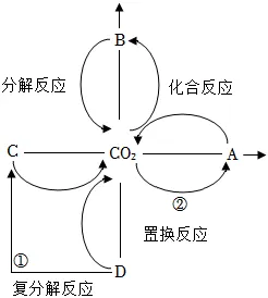 1706 【中考化学】二轮专项复习·核心考点讲解与必刷题型(Word版) 第13张 1706 【中考化学】二轮专项复习·核心考点讲解与必刷题型(Word版) 第13张