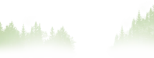 一眼惊艳,满屏考点——盘点《贺花神》中考高考涉及到的考点(下)(12月已全) 第41张 一眼惊艳,满屏考点——盘点《贺花神》中考高考涉及到的考点(下)(12月已全) 第41张