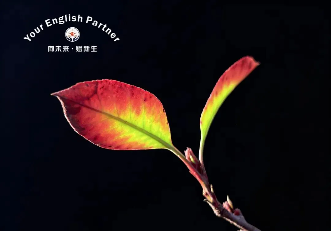 中考时文之2026春晚2 第1张 中考时文之2026春晚2 第1张