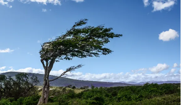 【中考必刷】备战2026中考地理每天十道题 13:地球的运动 第7张 【中考必刷】备战2026中考地理每天十道题 13:地球的运动 第7张