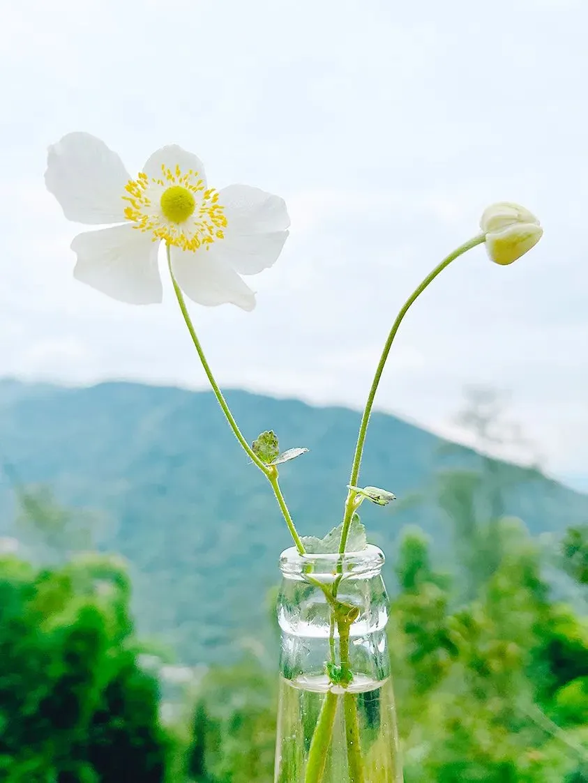 2026年中考语文押题作文——(五) 第4张 2026年中考语文押题作文——(五) 第4张