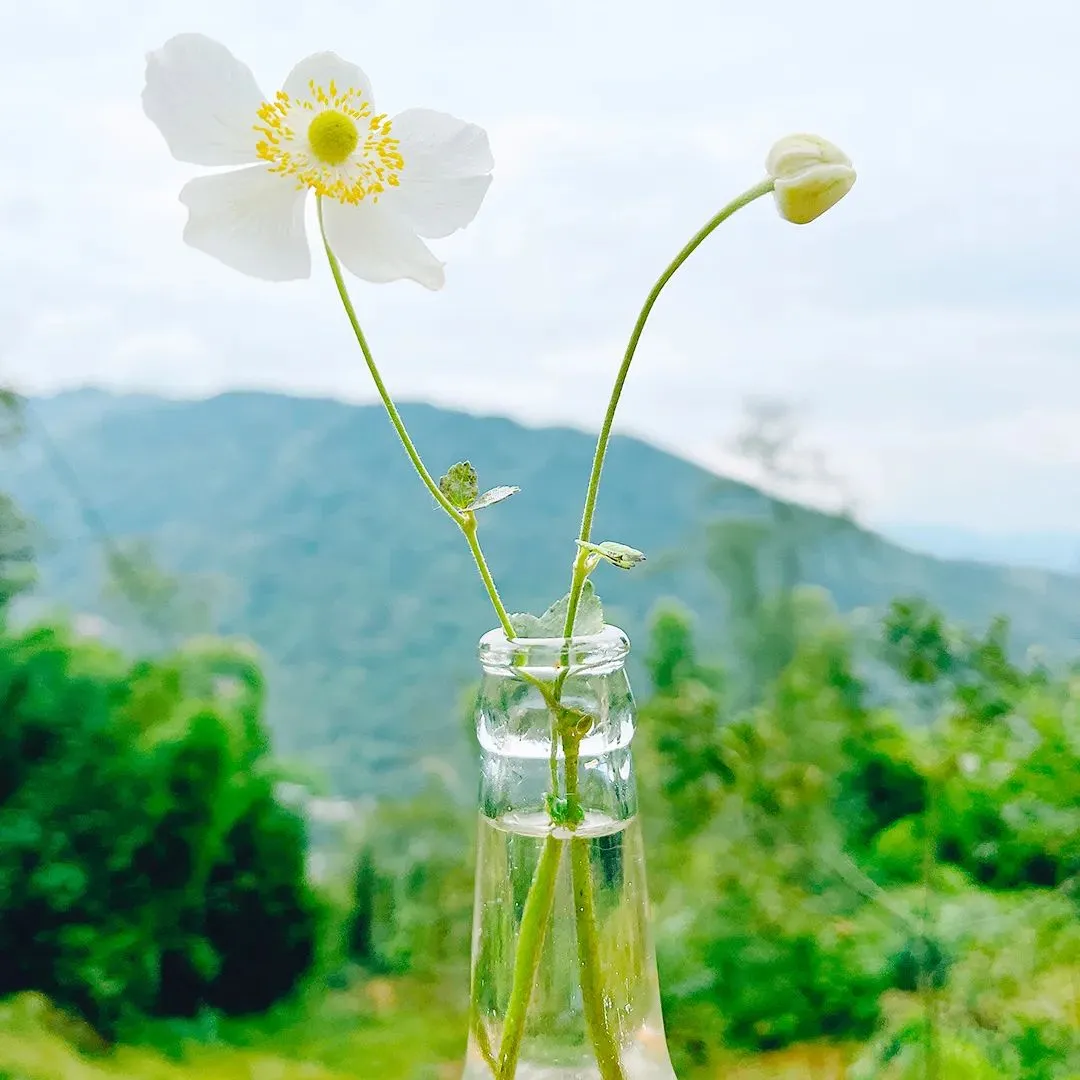 2026年中考语文押题作文——(五) 第5张 2026年中考语文押题作文——(五) 第5张