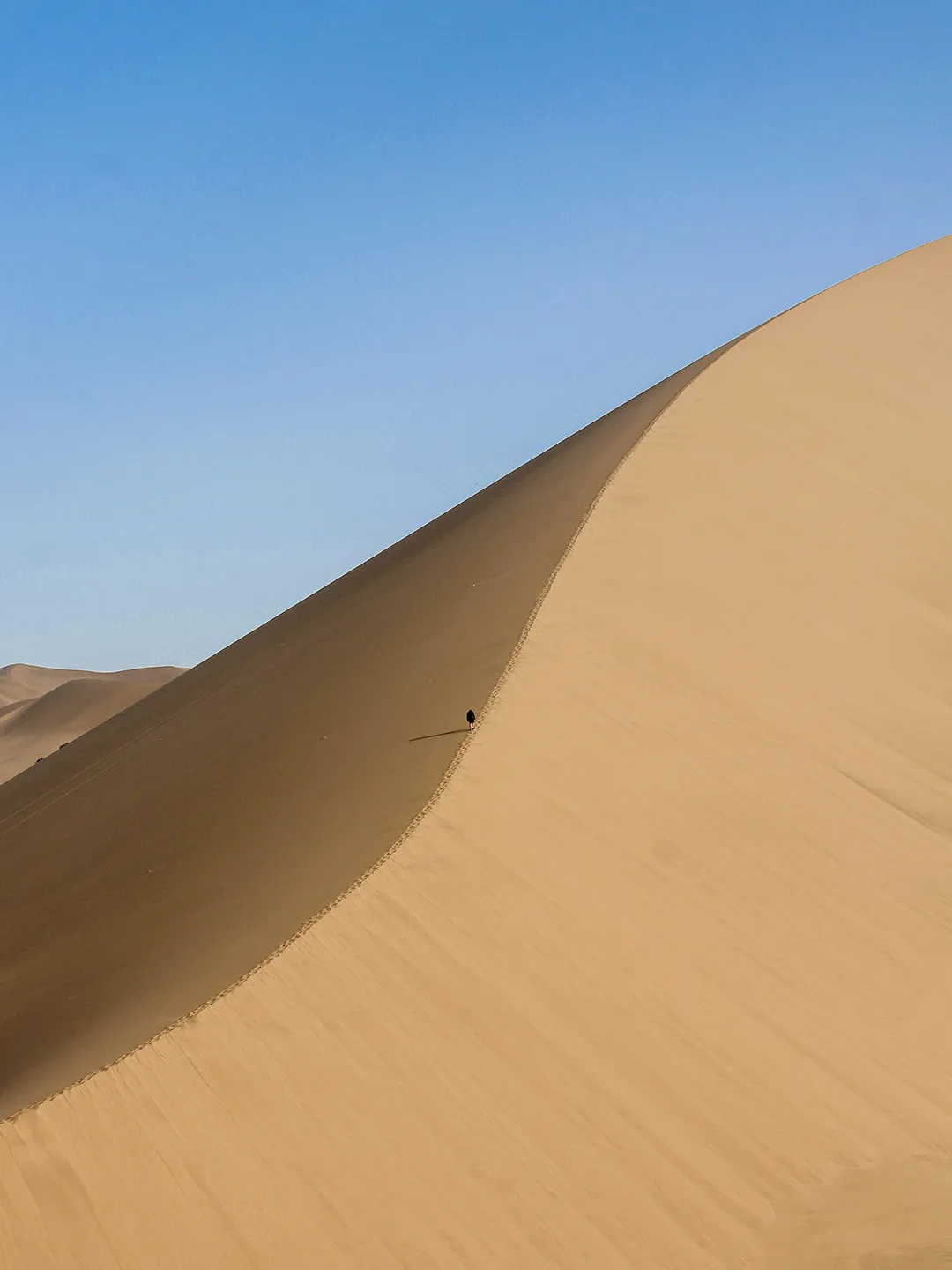 2026年中考语文押题作文——(五) 第12张 2026年中考语文押题作文——(五) 第12张