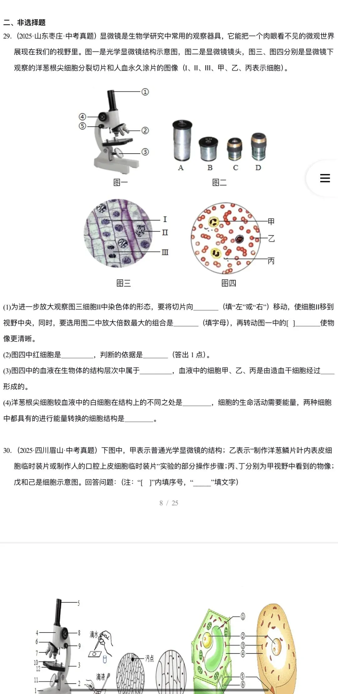 2026年中考生物:三年(2023-2025)中考真题分类汇编15个专题含答案详解(全国通用)完整word版文档可下载打印 第11张