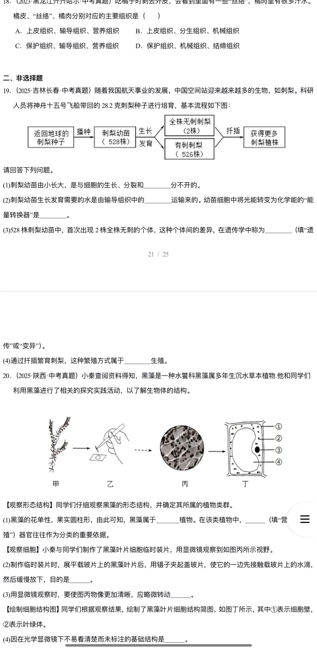 2026年中考生物:三年(2023-2025)中考真题分类汇编15个专题含答案详解(全国通用)完整word版文档可下载打印 第20张