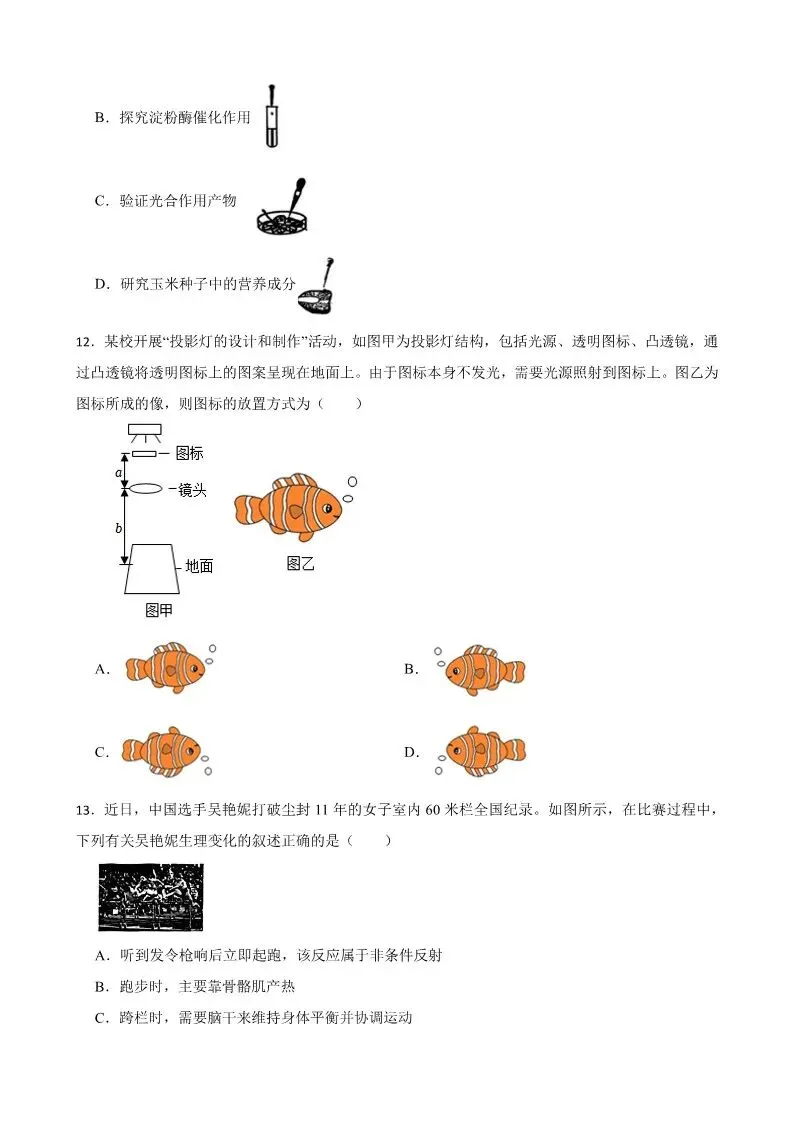 2025年杭州西湖区中考一模 五科试题 第26张