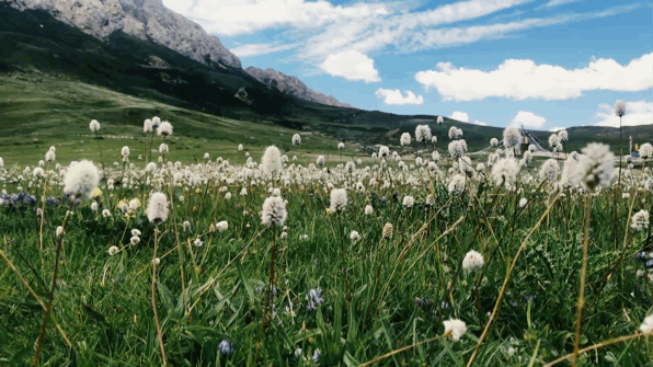 陈海波 | 中考作文真题库,给需要的你 第3张