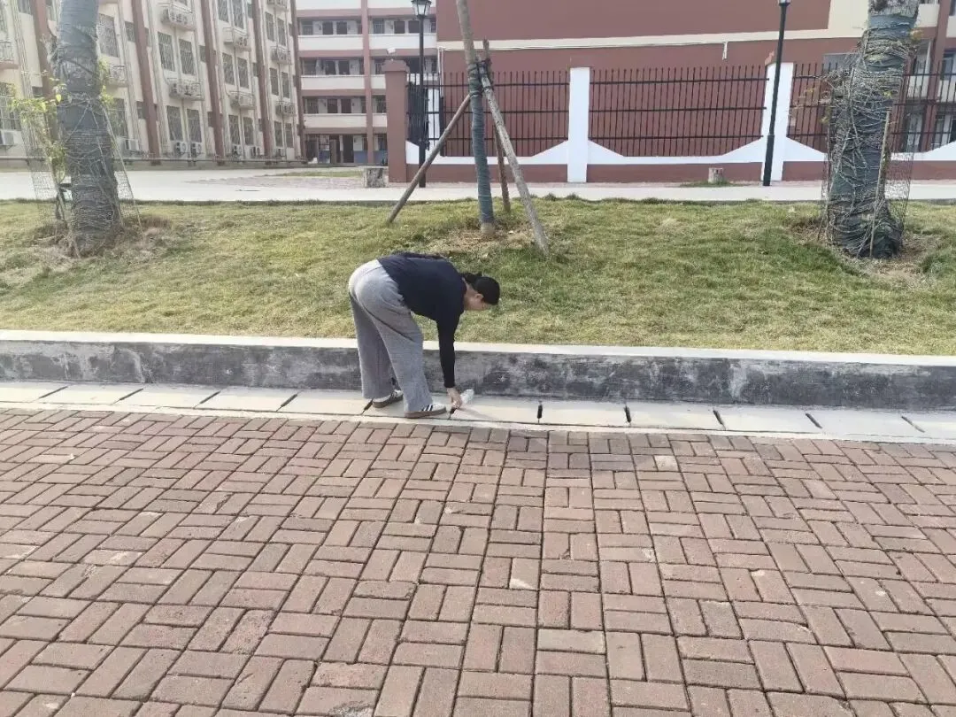 春启新程,逐梦中考——田阳四中初三学子2026年春季学期顺利开学 第14张