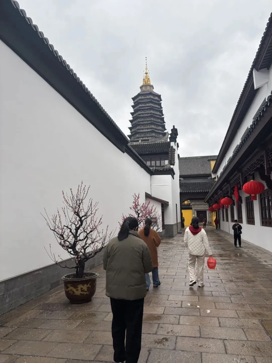 女儿中考倒计时114天—牛马归位,开工大吉! 第4张