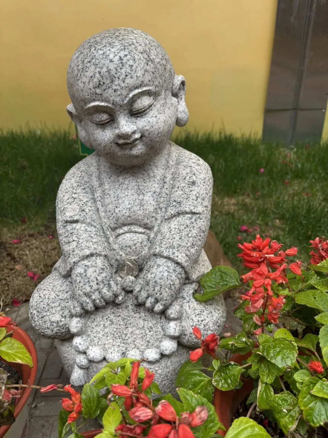 女儿中考倒计时114天—牛马归位,开工大吉! 第5张