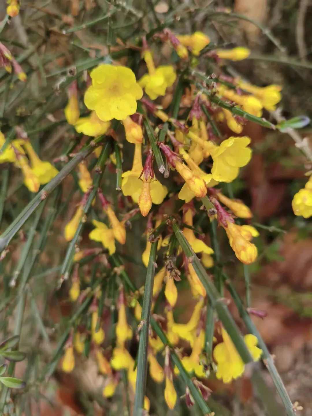 2026年中考作文素材积累及运用指南(主题聚焦:责任担当) 第1张 2026年中考作文素材积累及运用指南(主题聚焦:责任担当) 第1张